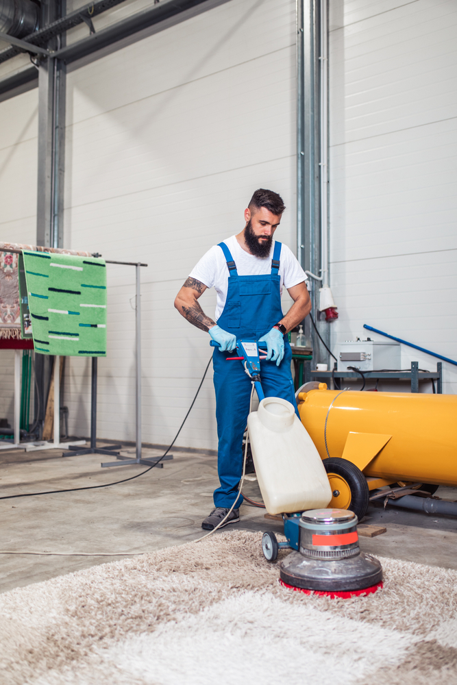 Carpet Cleaning in Medford