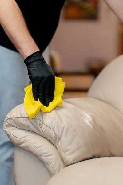 Pet Stain Removal in Medford
