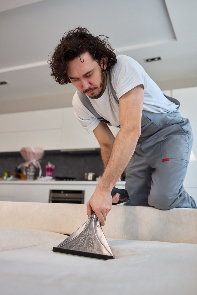 Upholstery Cleaning in Medford